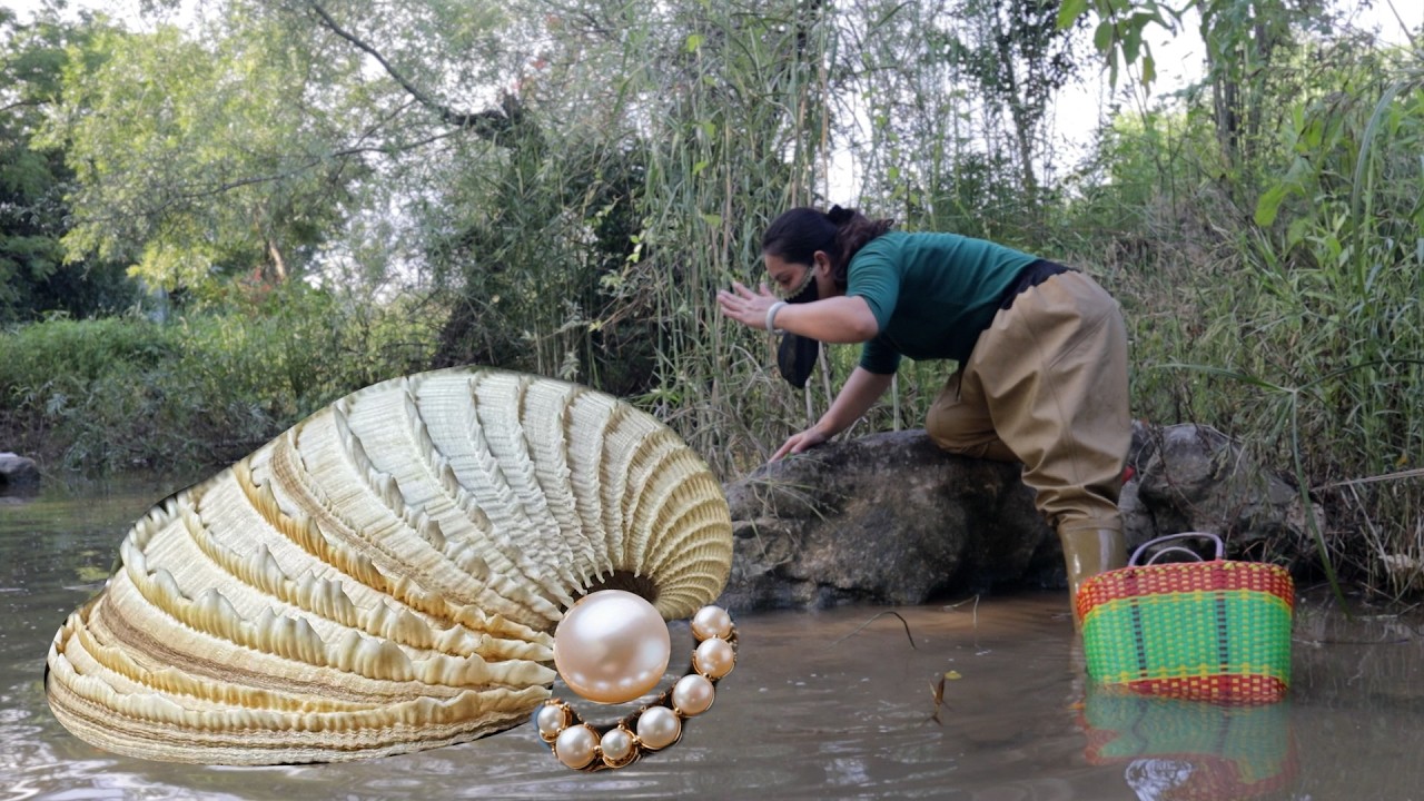 Pearl enthusiast discovers: she discovers a pearl wealth that ignites the city's hot topic