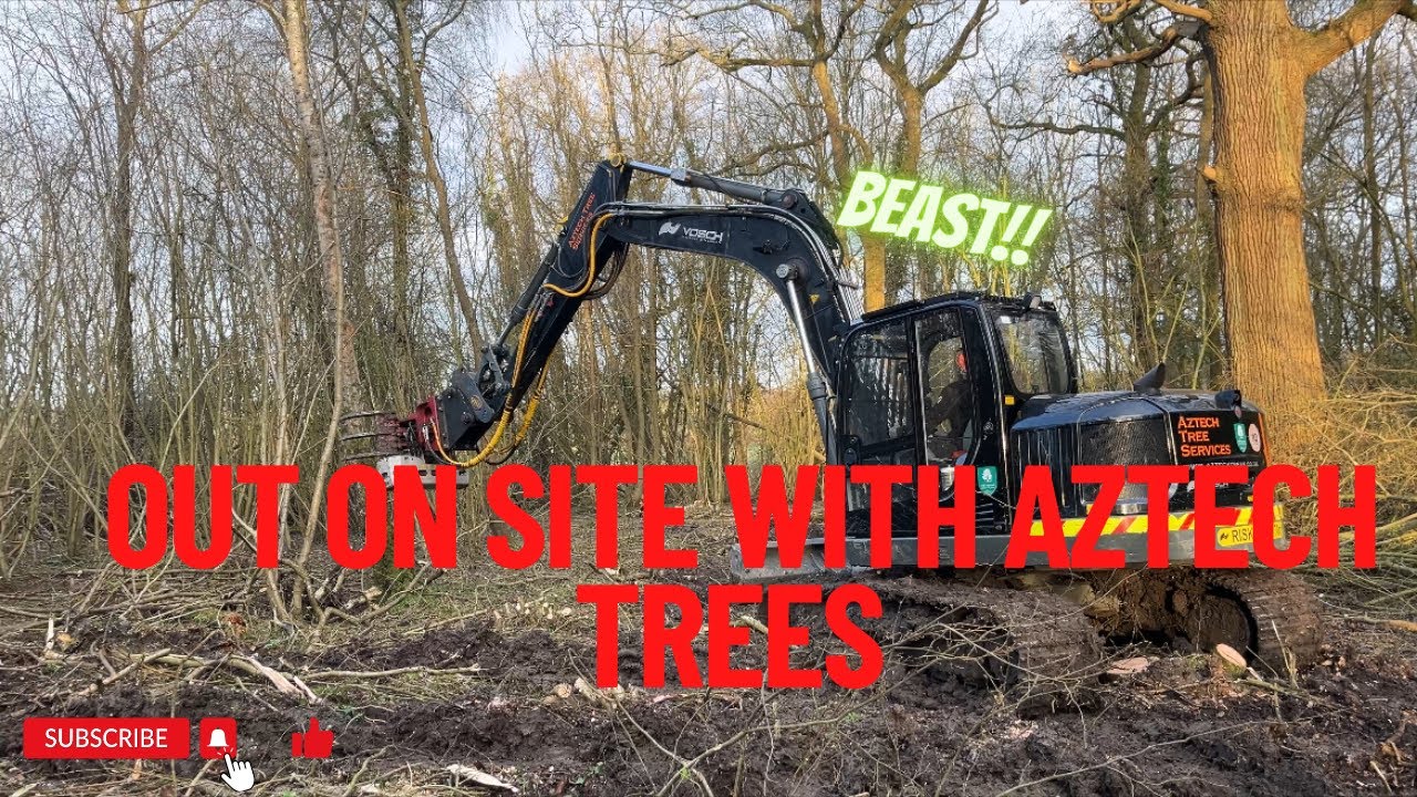 Day 89 - Forestry Site Visit