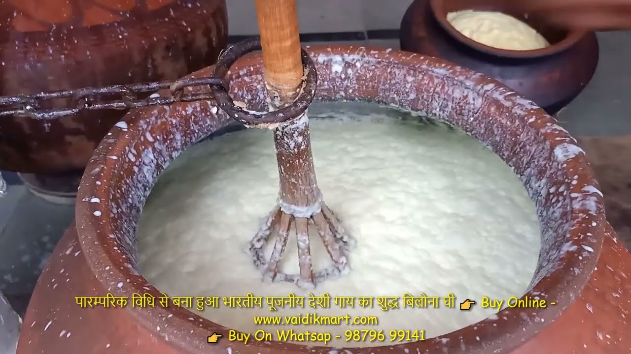 cow ghee | Desi Cow Bilona Ghee Making Process - how to make ghee from curd | a2 #cowghee
