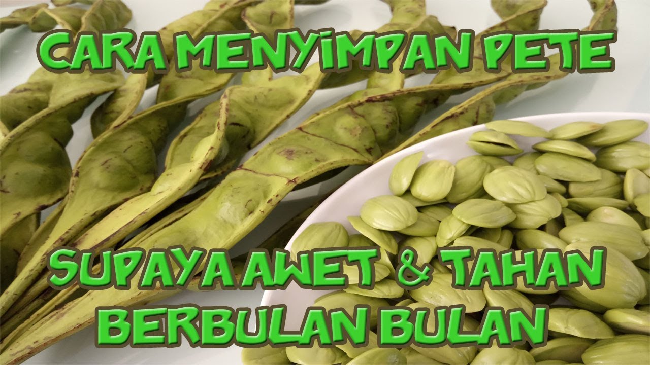 Cara Menyimpan Pete Supaya Awet  & Tahan Berbulan Bulan