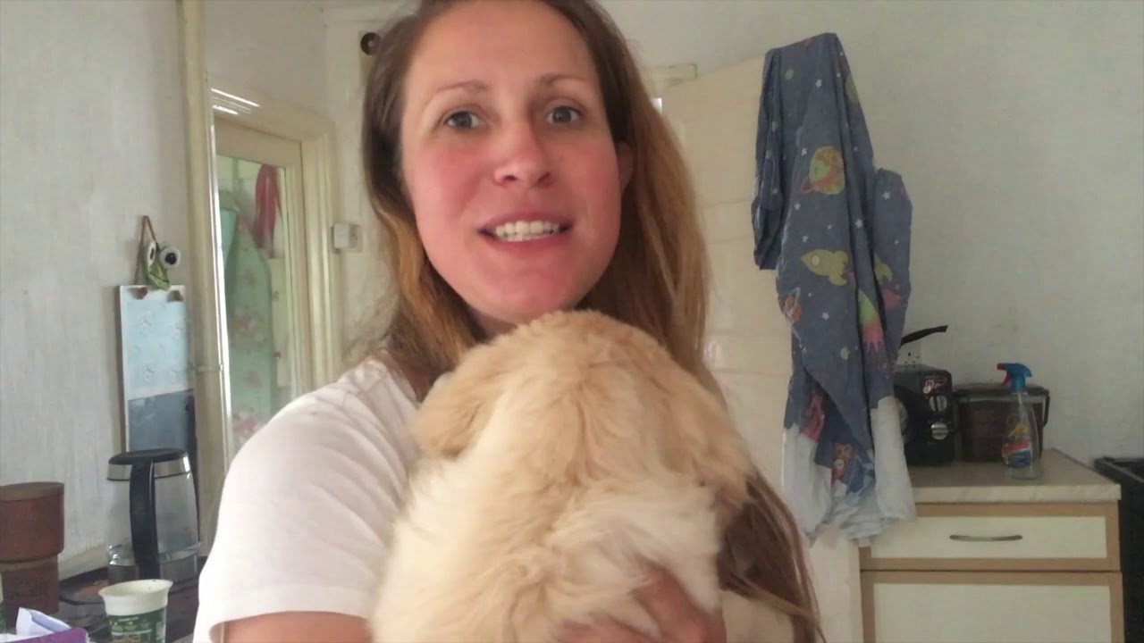 Puppy Surprise! Biggest Shock ever!