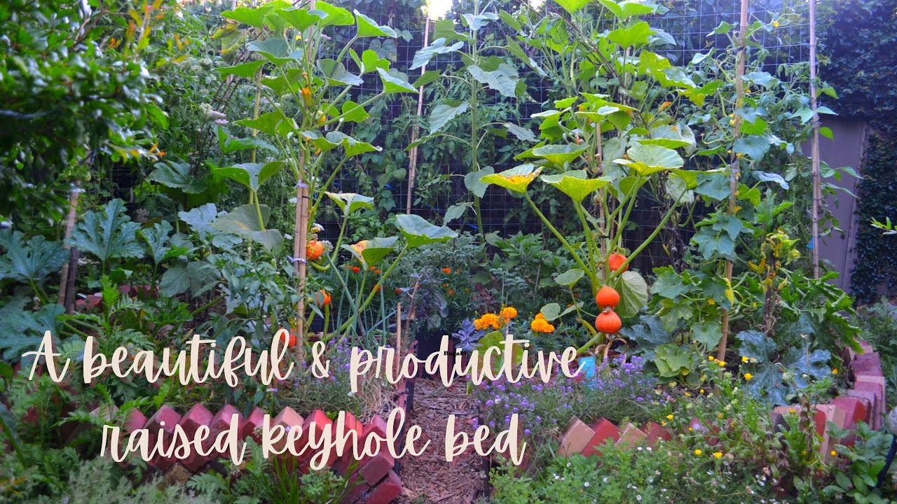 Permaculture productive raised keyhole bed | Garden Tour | Heirloom veggies, flowers | Urban Farm