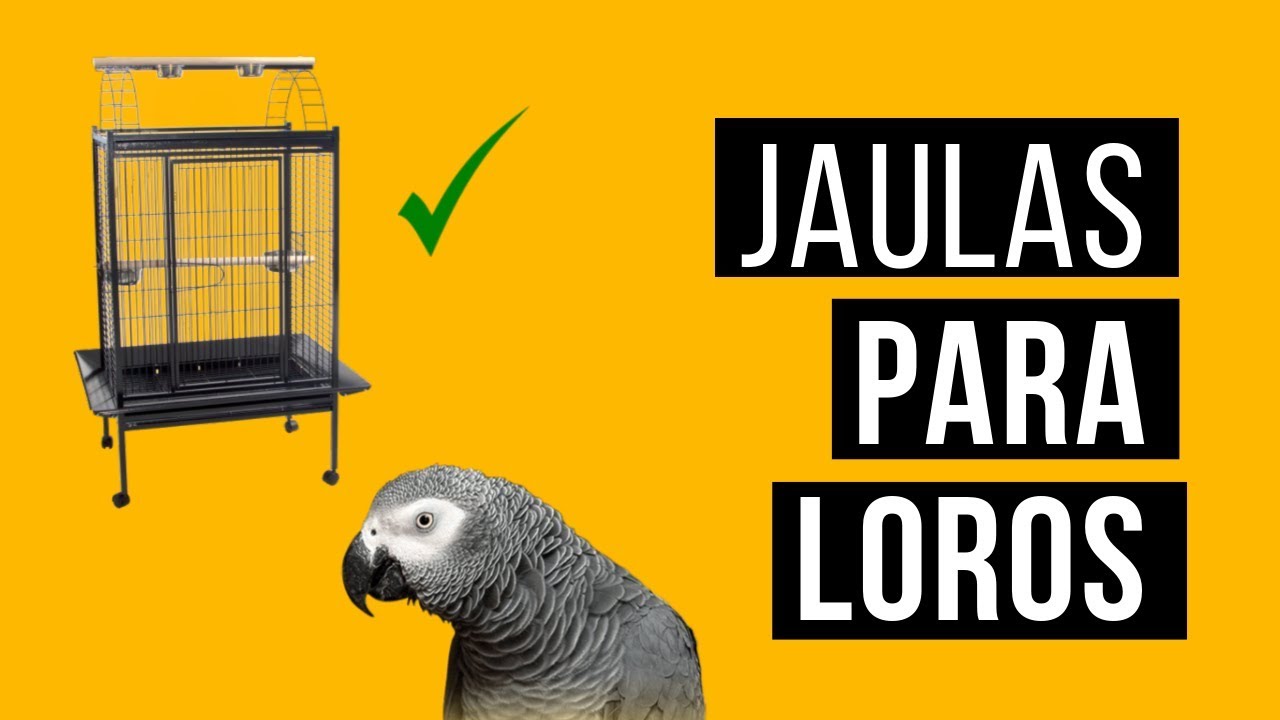JAULAS PARA LOROS Y AVES jaulas para yacos