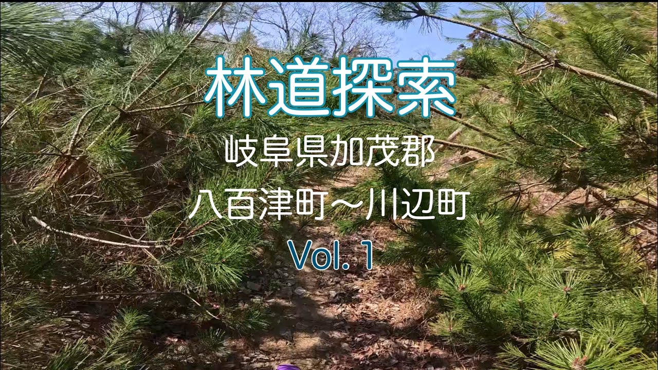 260301 岐阜県加茂郡八百津町〜川辺町　Vol.１　【完抜林道】