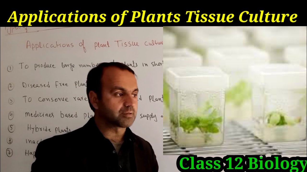 Applications of Plant Tissue Culture Class 12 Biology | Biotechnology.