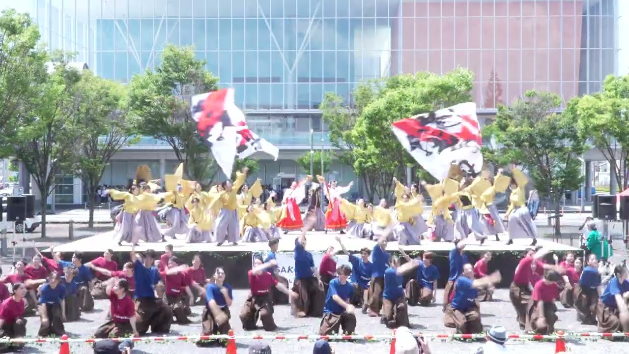 【4K】静岡大学 よさこいサークル お茶ノ子祭々(第11回 良さ来い！茶ノ国祭り 2025/清水駅東口会場 1回目)