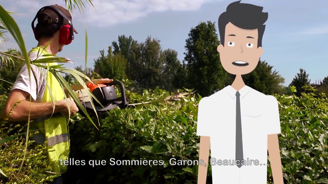 FILM ESAT OSARIS