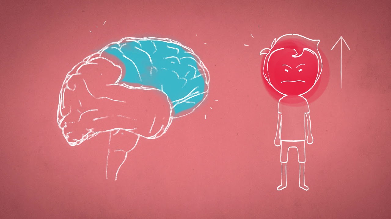 Dis-moi...pourquoi l'enfant ne contrôle pas ses colères?
