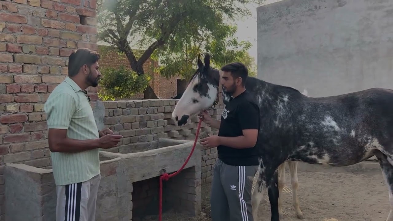 ਕੋਣ ਹੈ ਸਨਦੀਪ ਸਿੰਘ ਜਿਹੜਾ ਛੋਟੀ ਉਮਰੇ ਵੱਡੀਆਂ ਮੱਲਾਂ ਮਾਰੀ ਜਾਂਦਾ ਆ ਜੋ ਜਾਣਦੇ ਉਹਦੇ ਬਾਰੇ ????