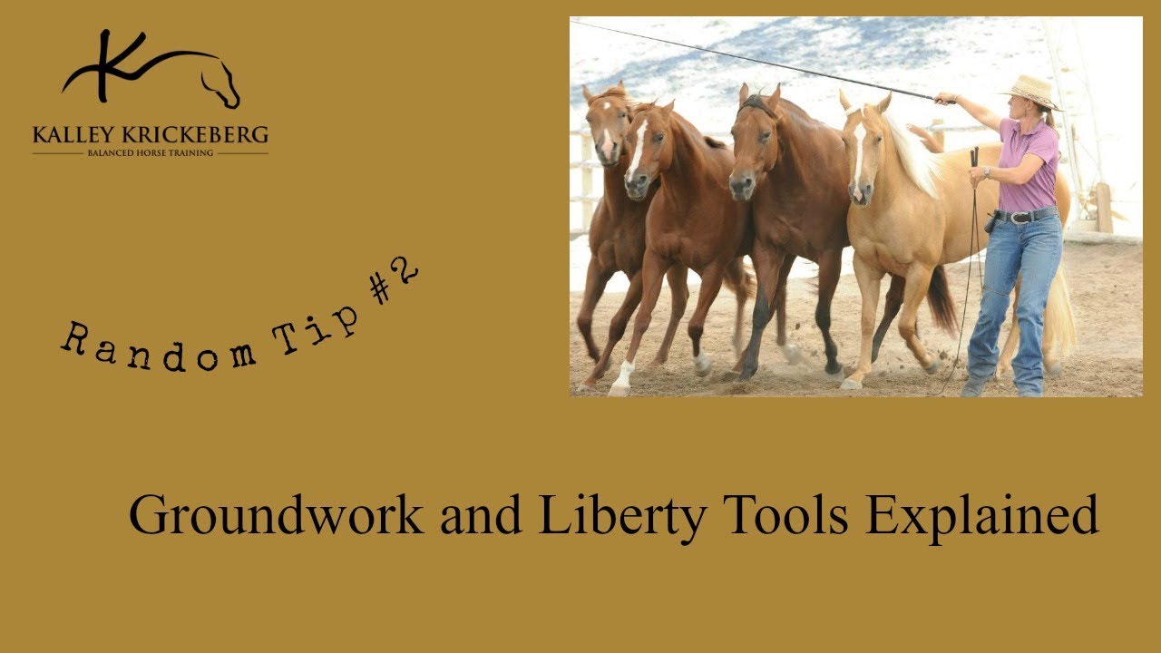 Liberty and Groundwork Horse Training Tools (A couple Tools Homemade)
