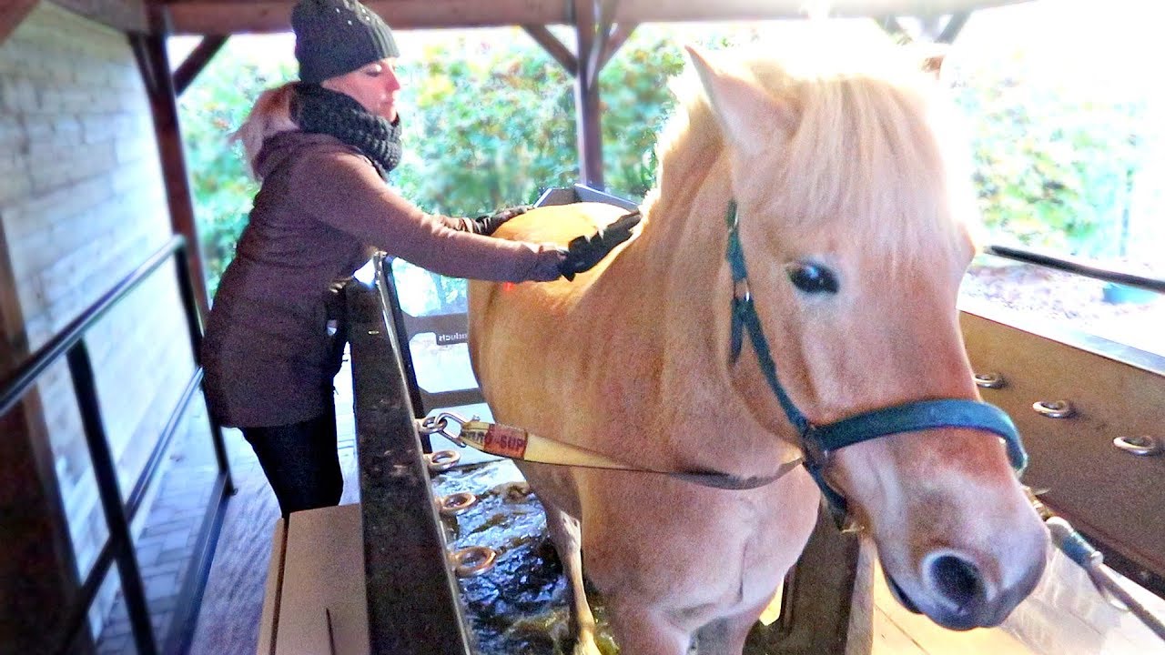 MOOS ZIJN EERSTE KEER IN DE AQUATRAINER! | Vlogmas #184