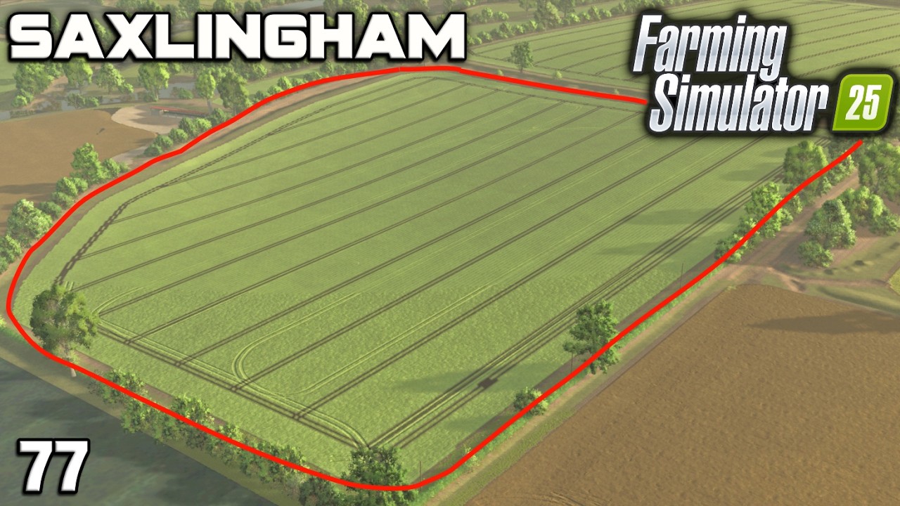 BUYING ONE OF THE LARGEST FIELDS ON THE MAP! Saxlingham FS25 Ep 77