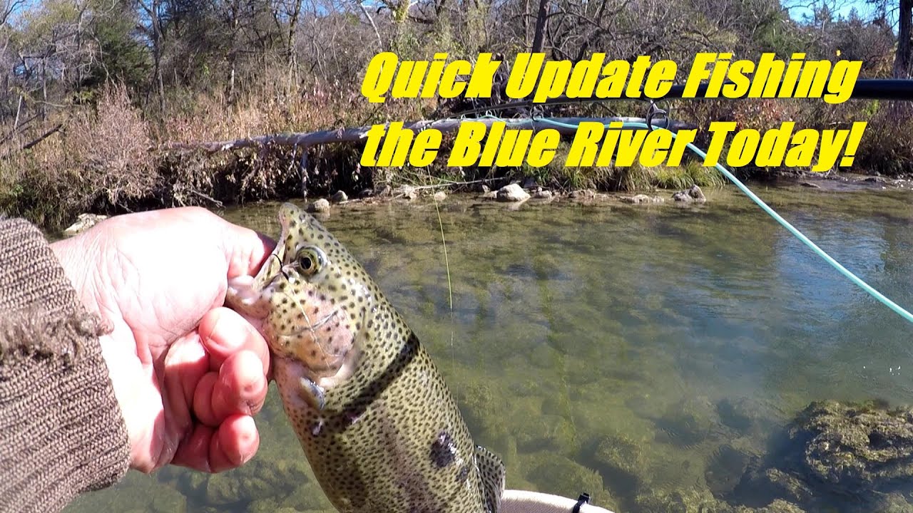 COAF Field Team's Live Broadcast | Blue River OK Fishing Quick Update