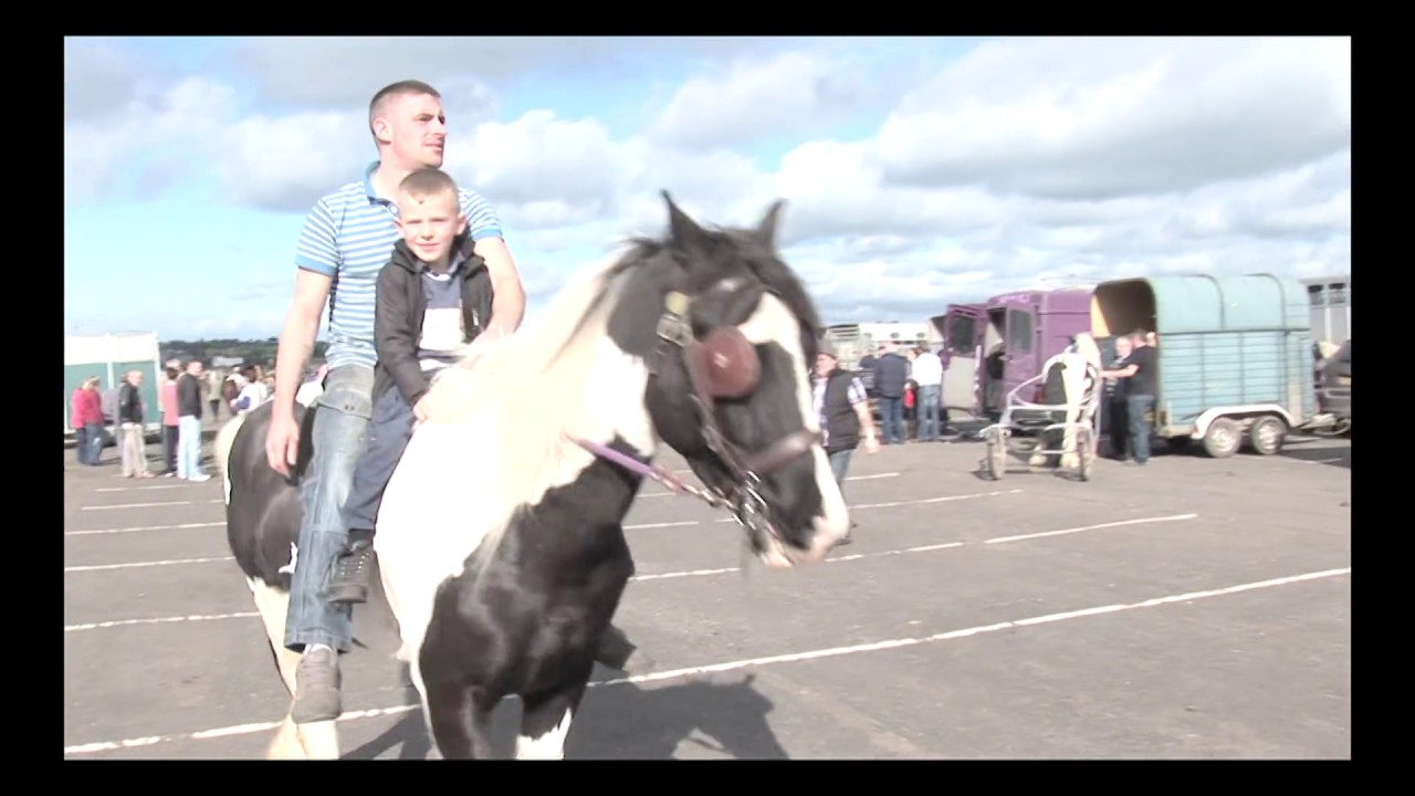 The Belfast  horse fair .