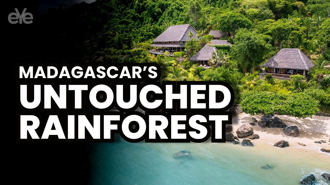 Discover Madagascar&rsquo;s Best-Kept Secret: The Masoala Rainforest #TravelMadagascar #HiddenGems
