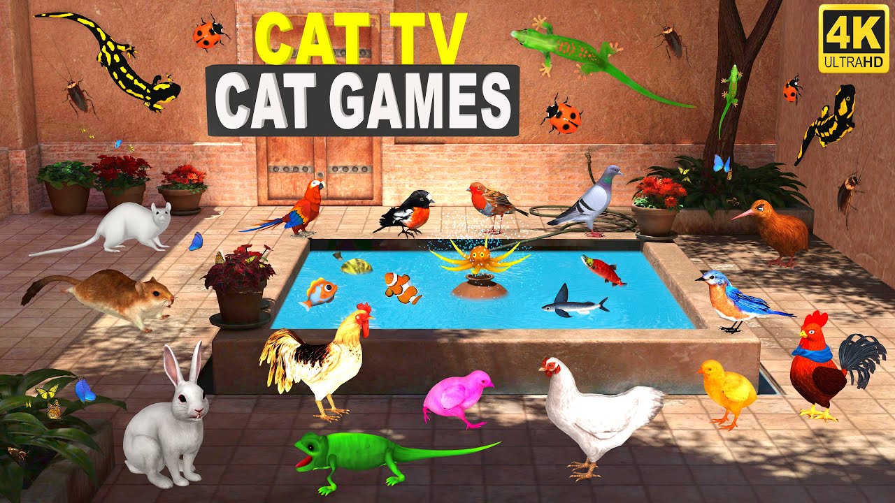 3d TV for Cats | Cat Games Ultimate Cat TV Compilation for Cats to Watch Birds, Mice, Lizard & Fish!