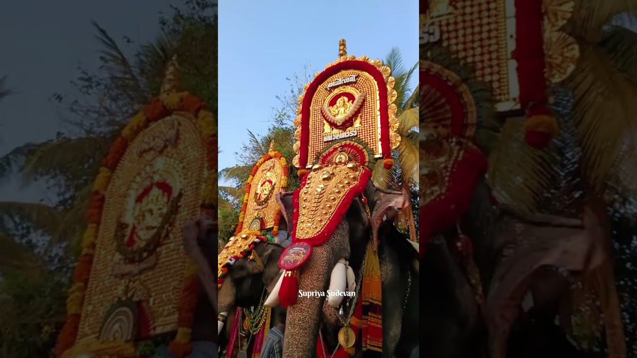 ഇരിങ്ങപ്പുറം കൊച്ചനാകുളങ്ങര പൂരം!!!!