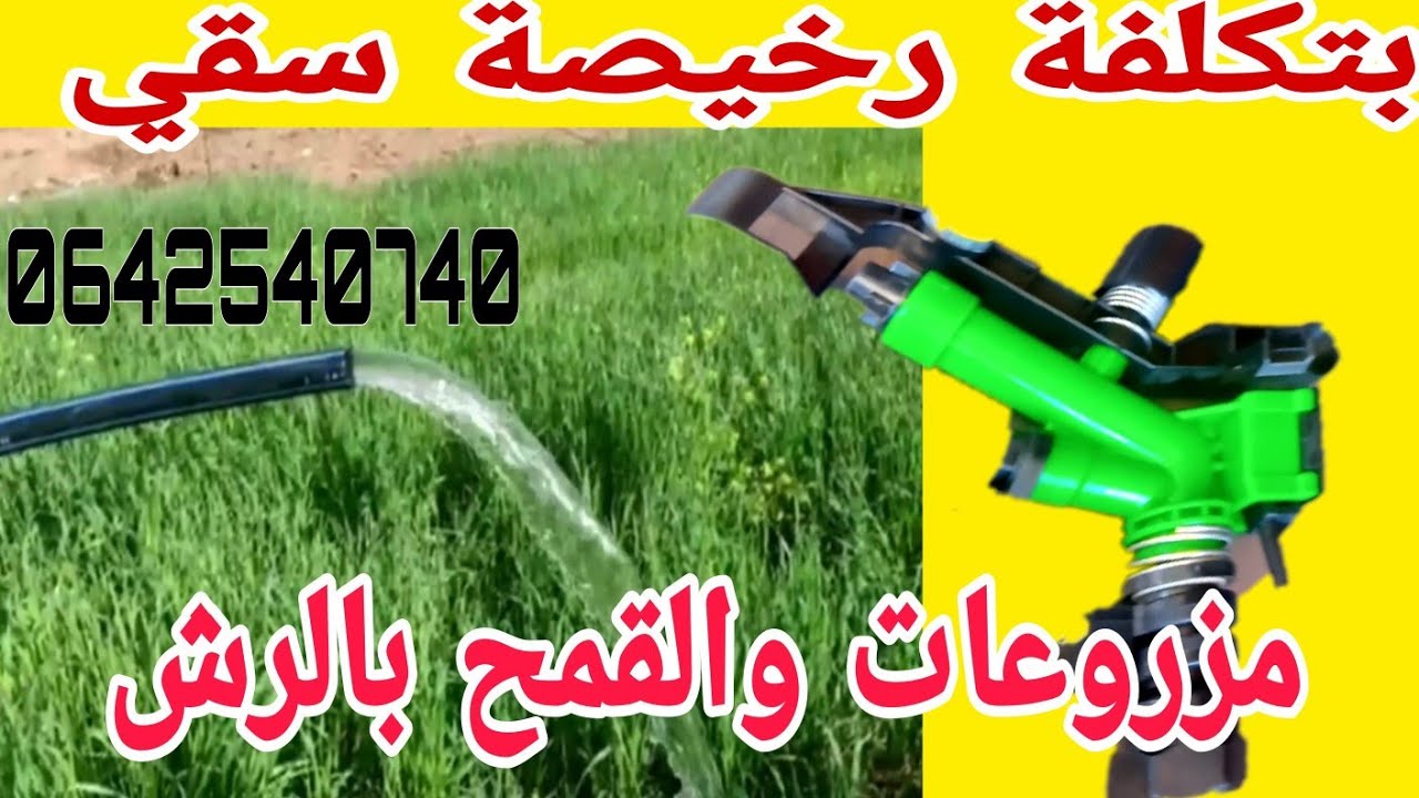 السقي بالرشاشات مياه زراعيه بدون ما تبدل أي مجهود وتكلفة ارخص من التنقيط🚜0642540740🚜0650379028وتساب