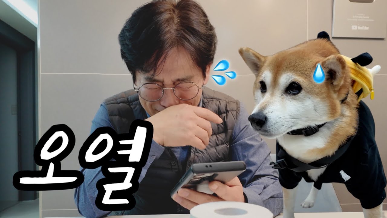 애지중지 키운 큰 딸이 웨딩사진을 찍고왔다.... (옥지 유치원룩🐥, 삼남매 저세상 티키타카☠️)