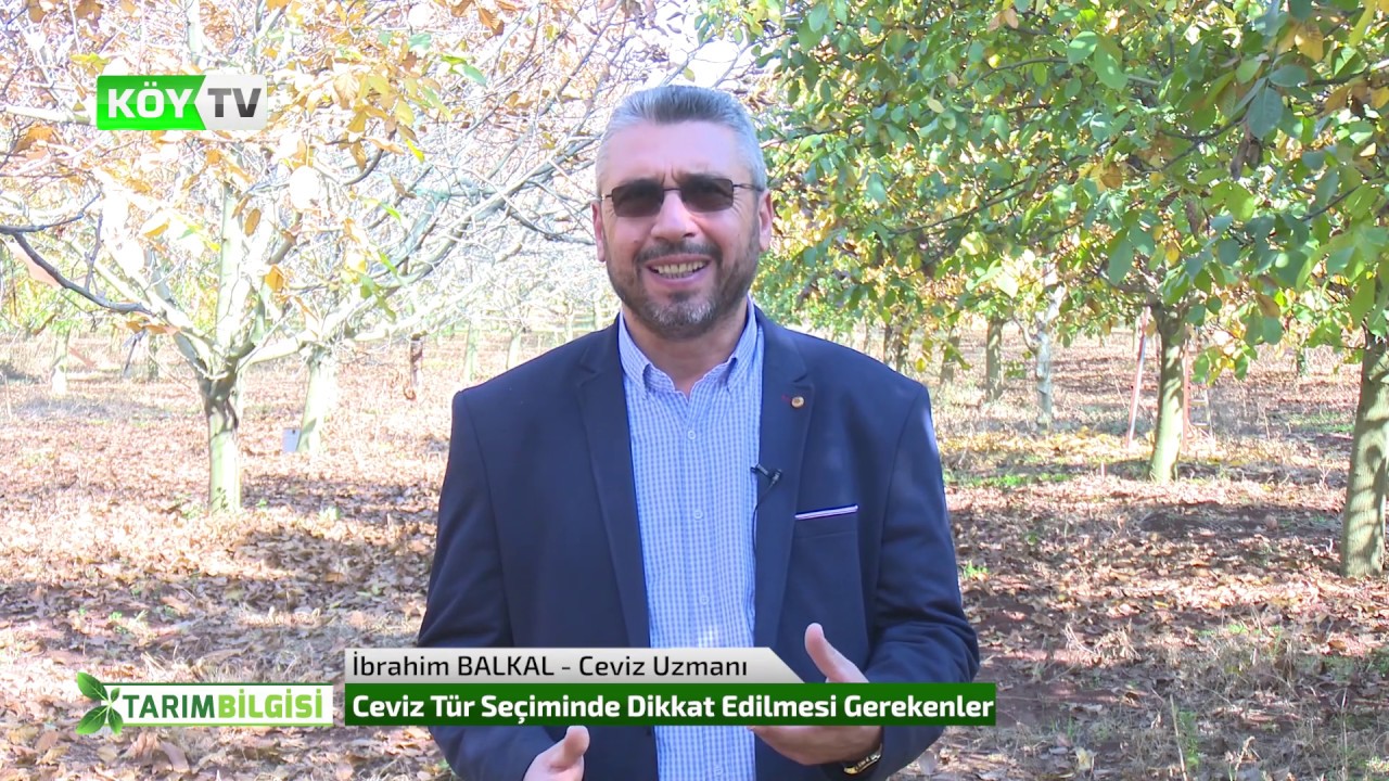 Chandler ve Fernor Vejetasyon (Gelişim) Karşılaştırması