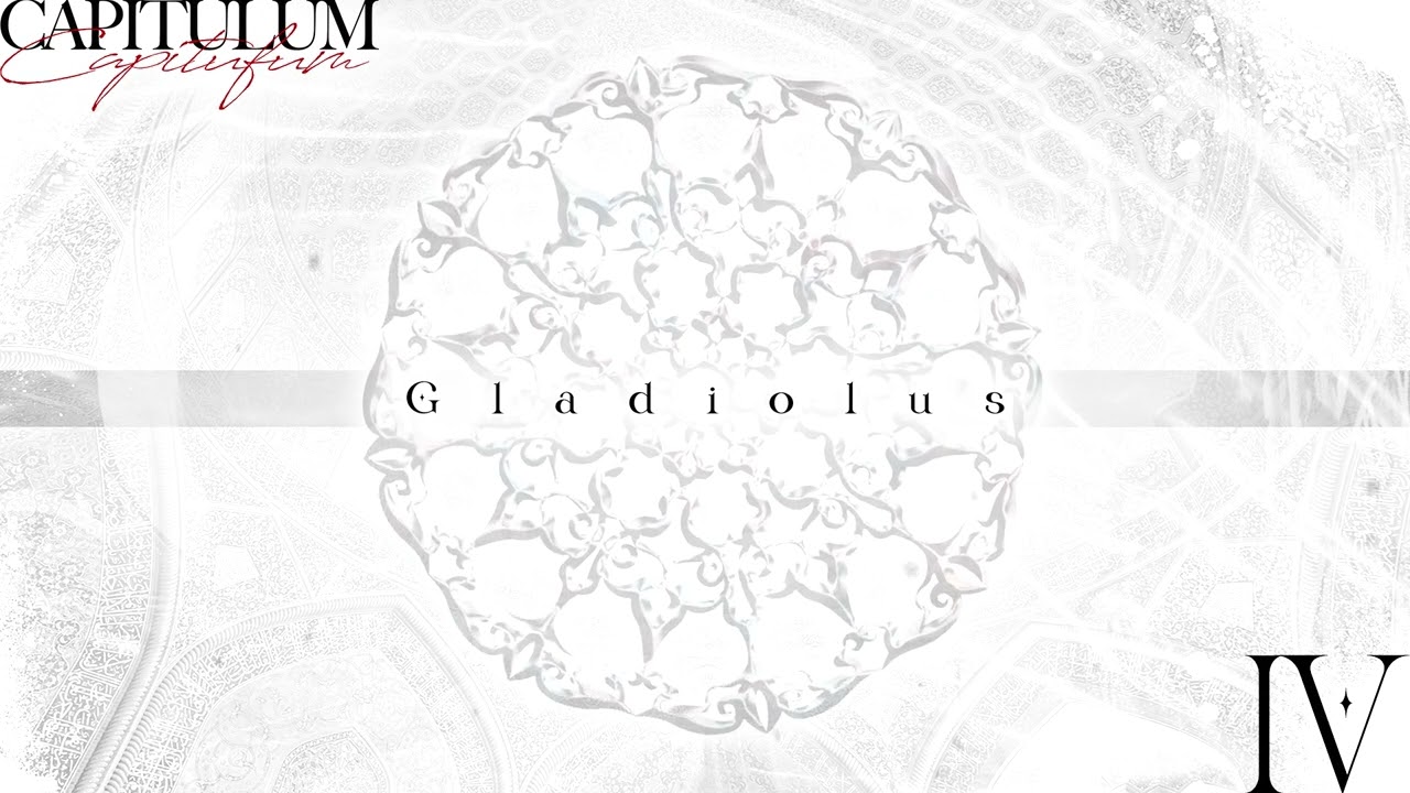 IRIS JP / “Gladioluis” (OFFICIAL STREAM VIDEO)