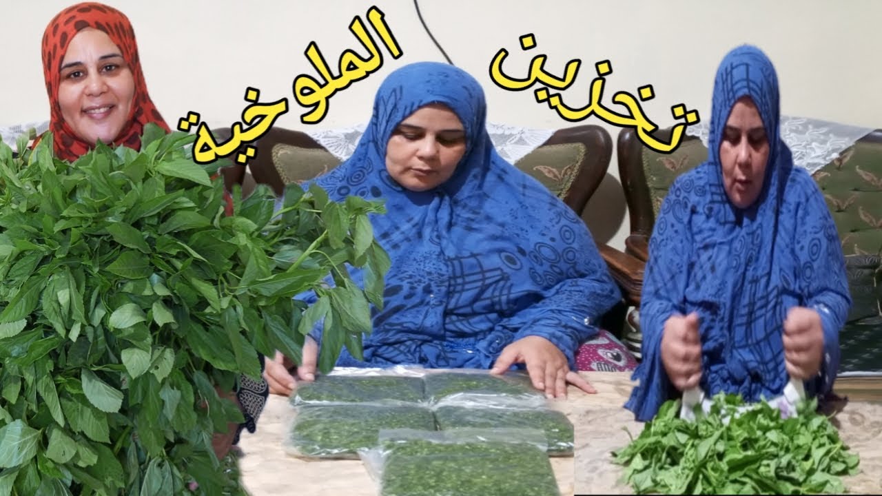 طريقة تخزين الملوخية الخضراء ❗من غير ما تسود ❗وتقعد معاكي 12شهر خضراء