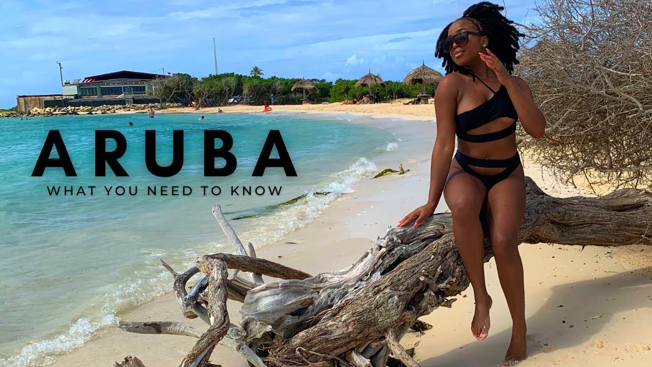 Aruba What You NEED to Know Before Coming  | Airbnbs, Flamingo Beach, Car Rentals