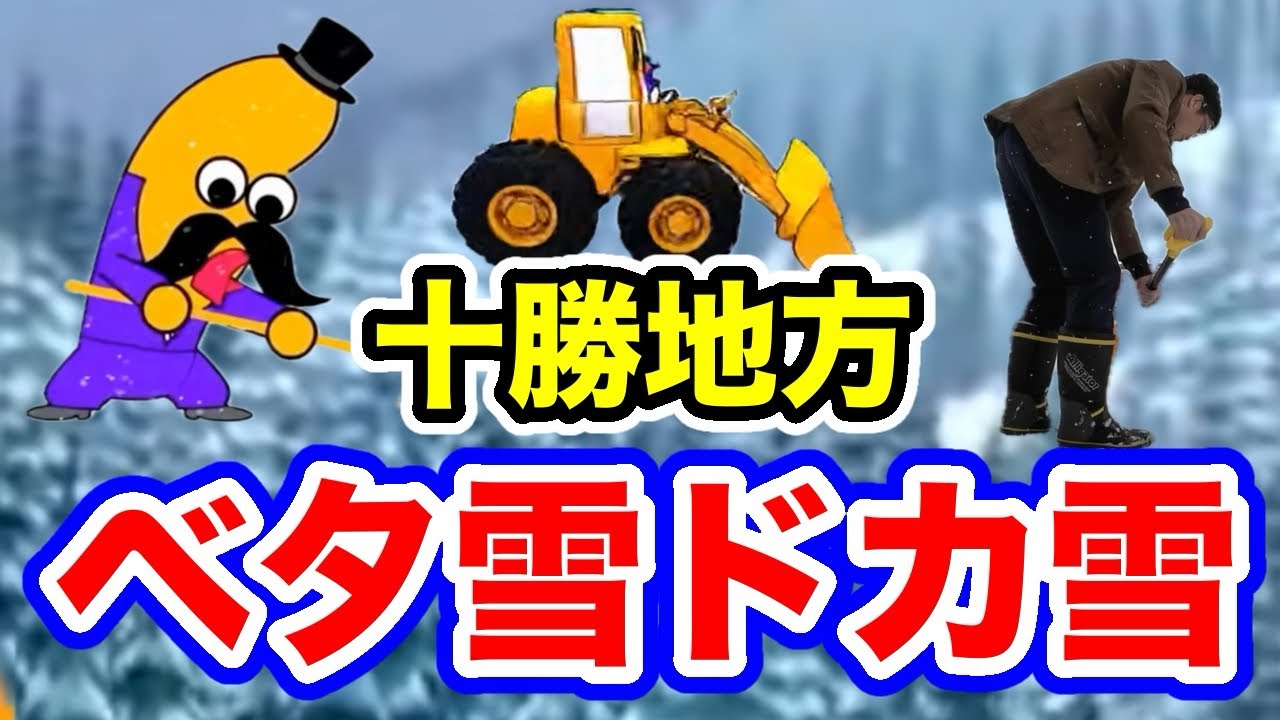 十勝地方【ベタ雪ドカ雪降ってます】2026年3月4日
