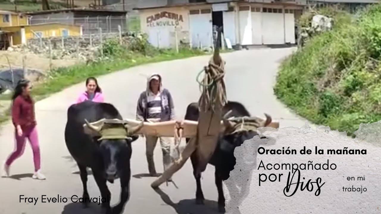 Oración de la mañana - Acompañado por Dios en mi trabajo