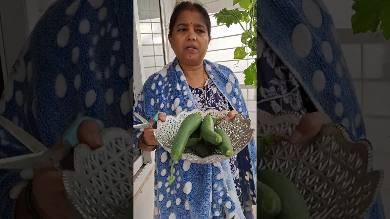 Vegetable harvesting from my terrace garden #gardening #plants #you tube video #vee's 