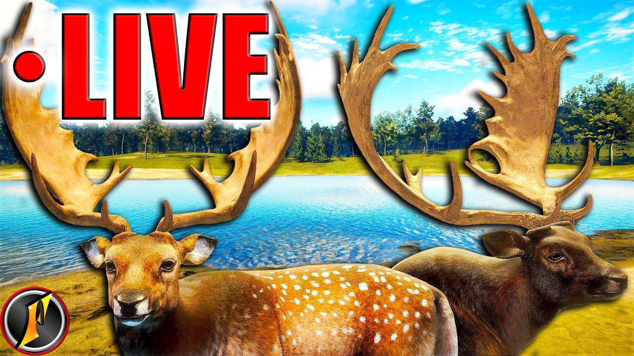 Late Fallow Stream!!! | Fallow Grinding LIVE!