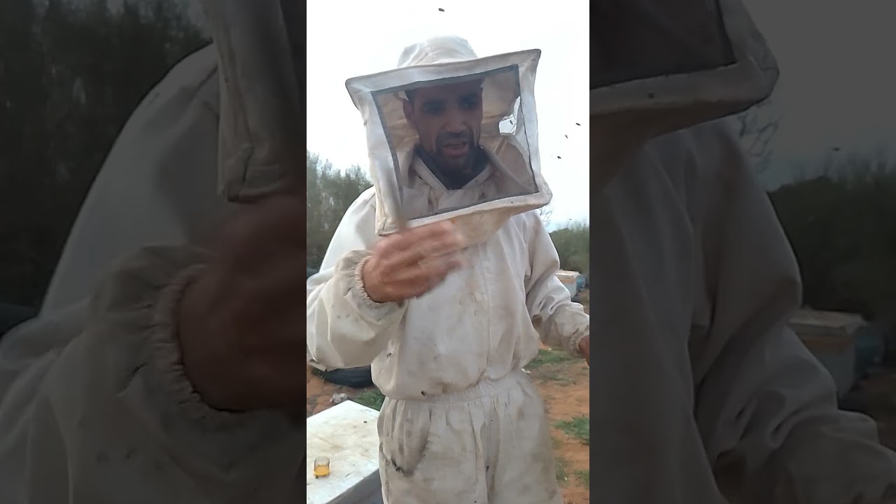 الطورود الجديدية