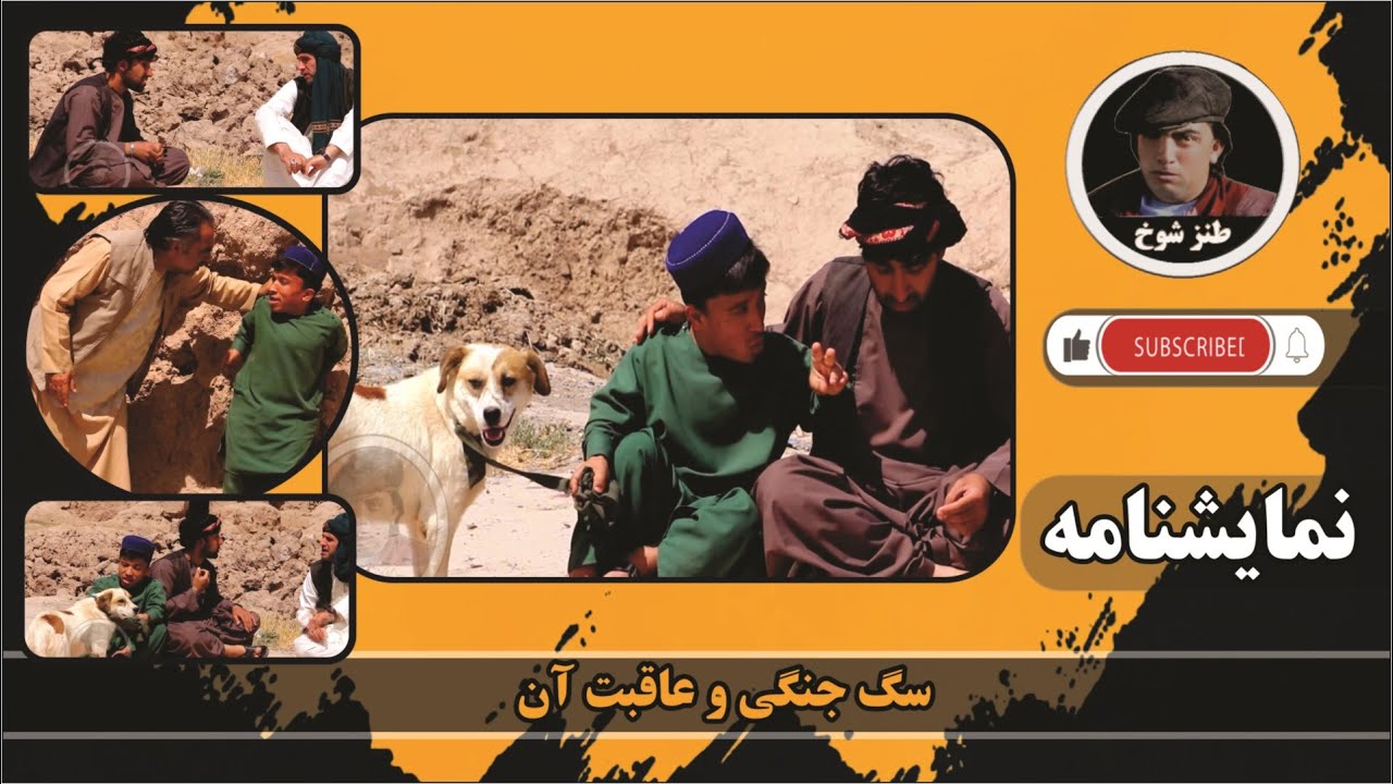 نمایش 