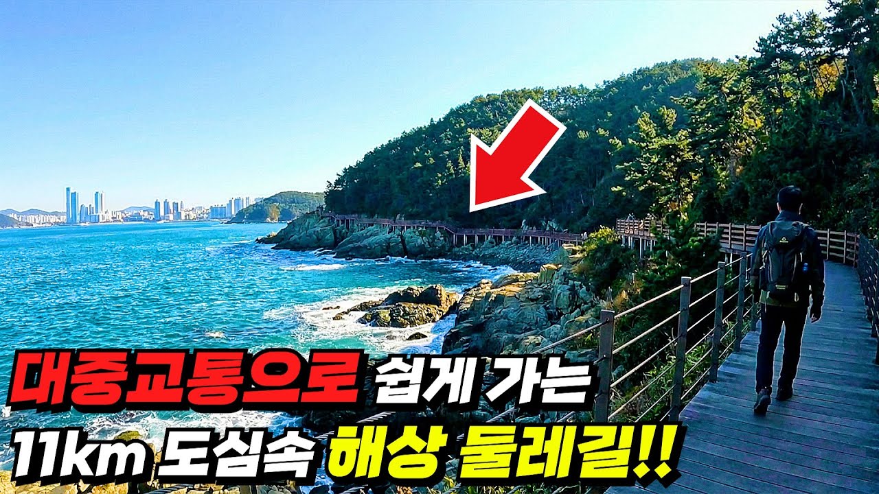 🚫 민간인 출입금지구역의 대변신! 걷는 내내 해안 절경이 펼쳐지는 '11km' 바다 트레킹 코스 | 대중교통 | 국내여행 | 국내 가볼만한 곳
