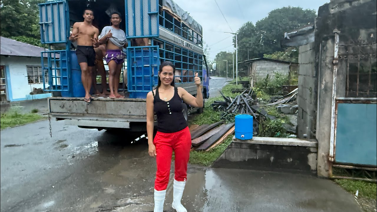 Magkano ang kilo ng live weight sa lugar nyo?