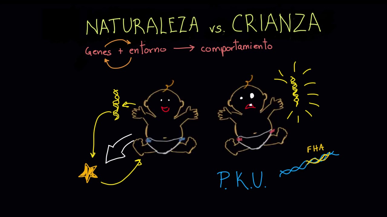 Interacción del entorno y los genes | Khan Academy en Español