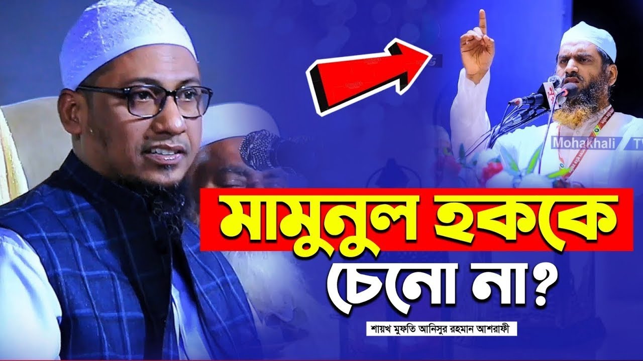 মামুনুল হককে নিয়ে যা বললেন মুফতি আনিসুর রহমান আশ্রাফী