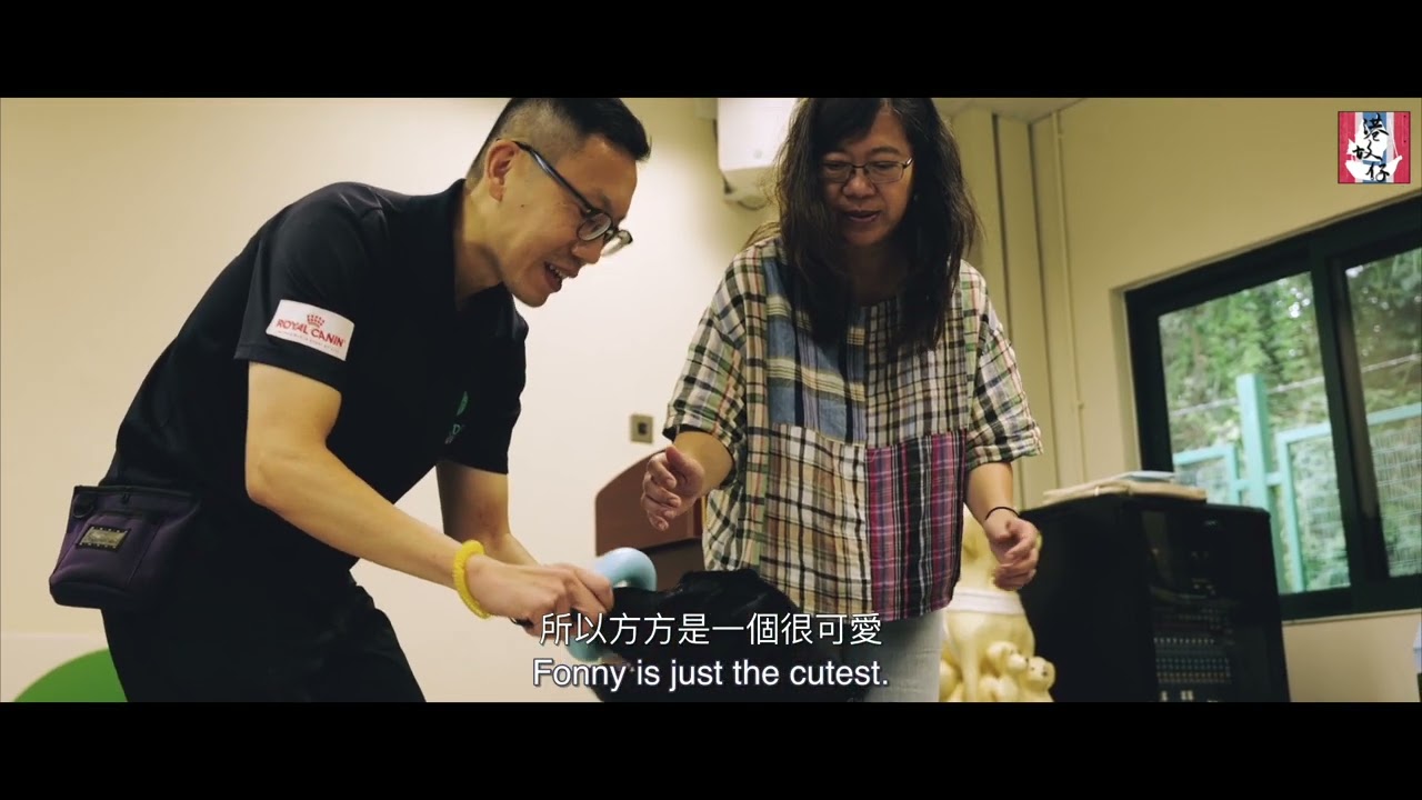 港故仔企劃-014 香港導盲犬服務中心