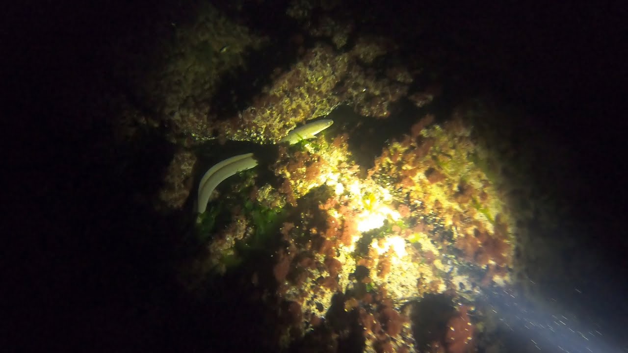 UV-jagt Bornholm, Nat dyk ved Sandkås Strand