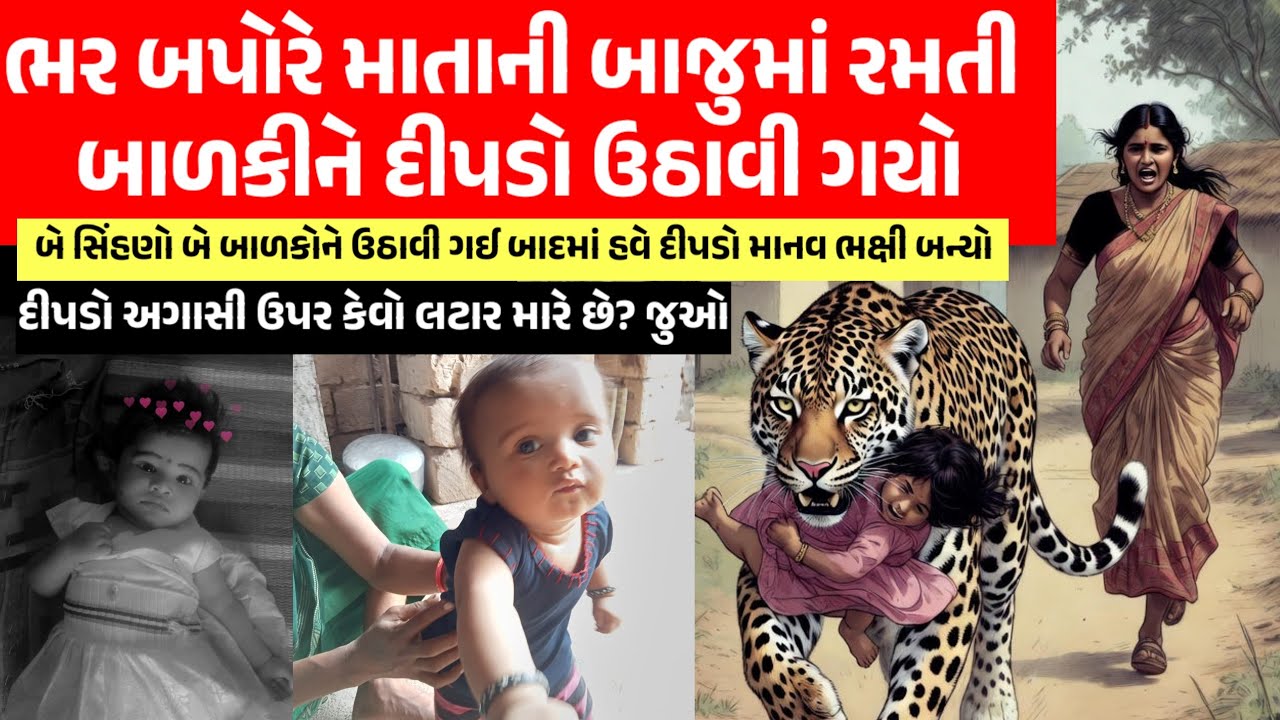 દીપડો રસોડામાં ઘૂસી માતાની નજર સામે બાળકીને ઉઠાવી ભાગ્યો//#gir #leopard #sasangir 