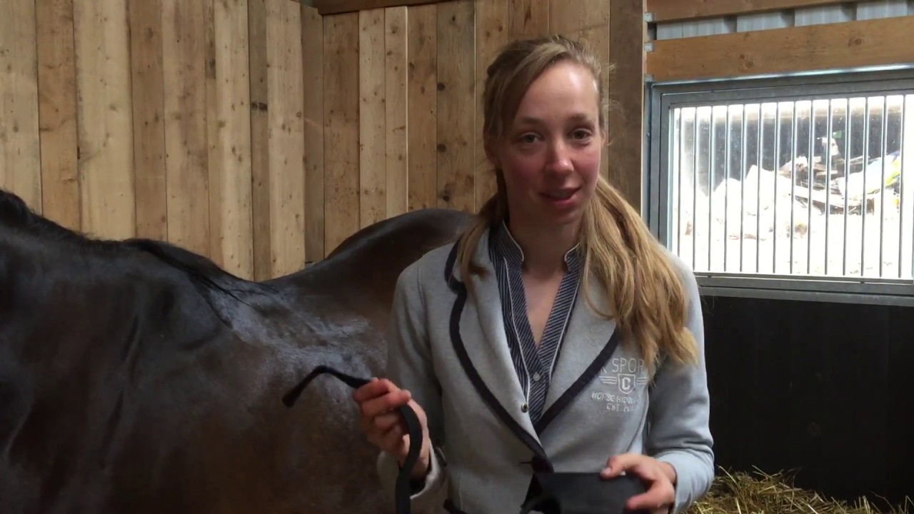 Equilog Electrodes