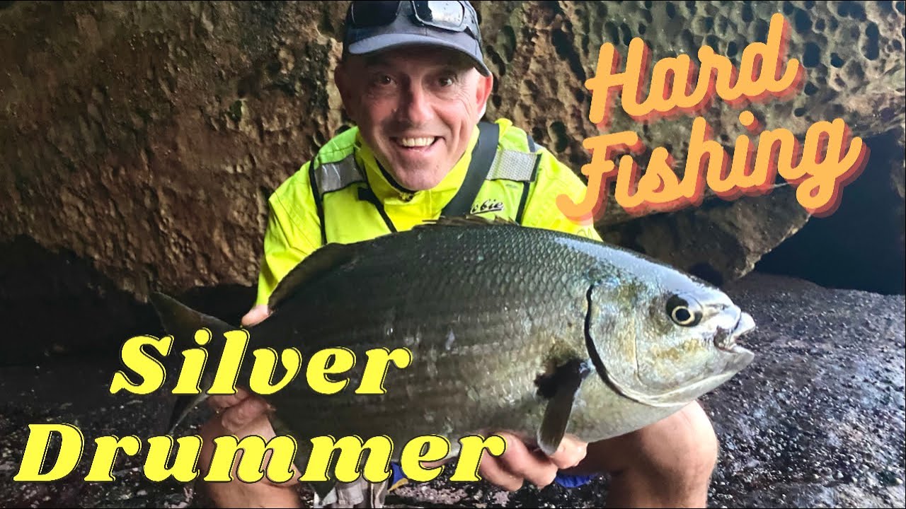 Silver Drummer | HARD FISHING