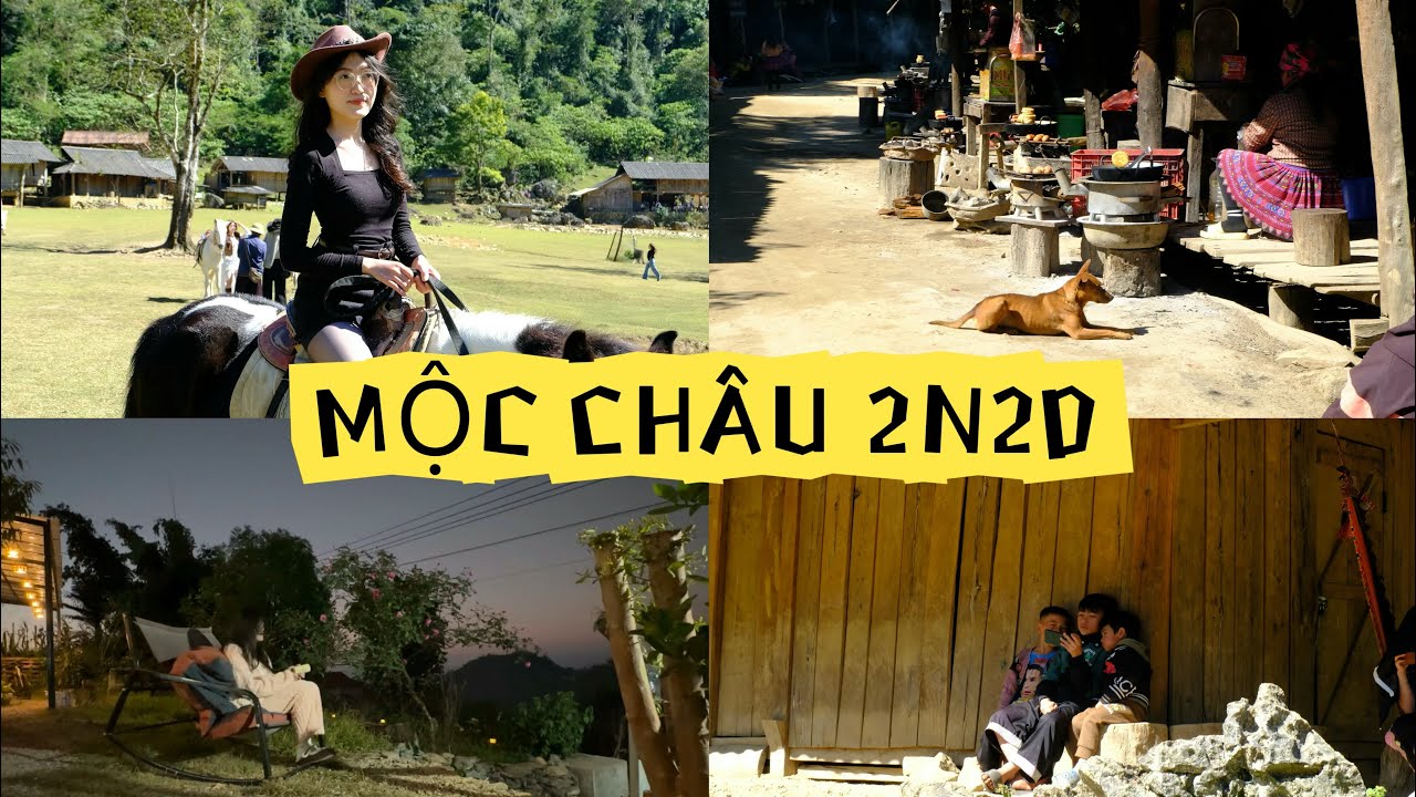 Mộc Châu wmf (Thấy vid đừng xem nhé!) #mocchau 