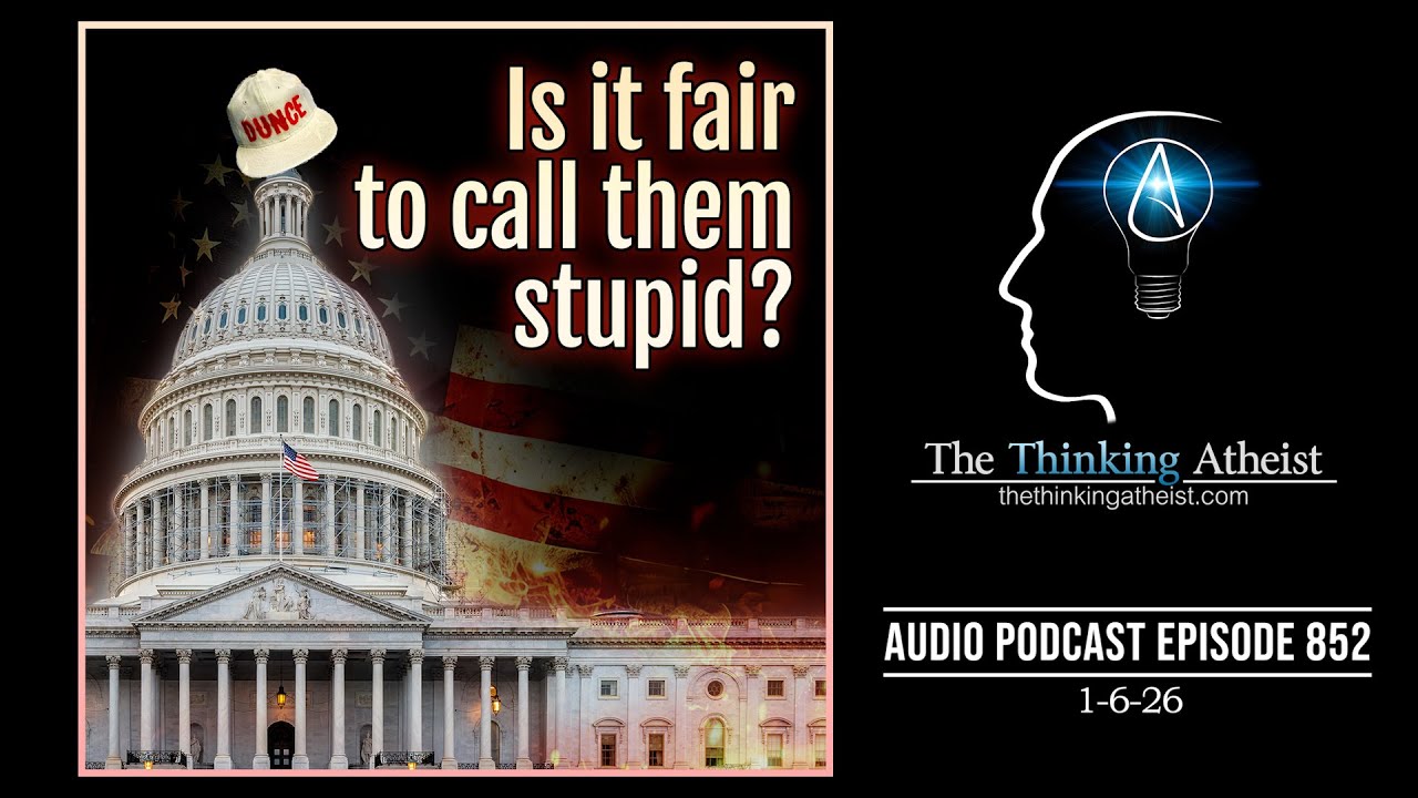 Is it fair to call them stupid?