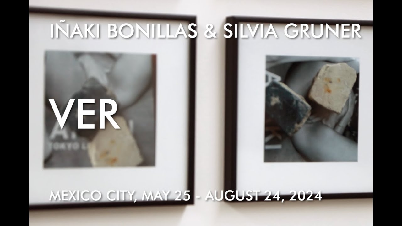I&ntilde;aki Bonillas & Silvia Gruner | Ver | Galerie Nordenhake Mexico City