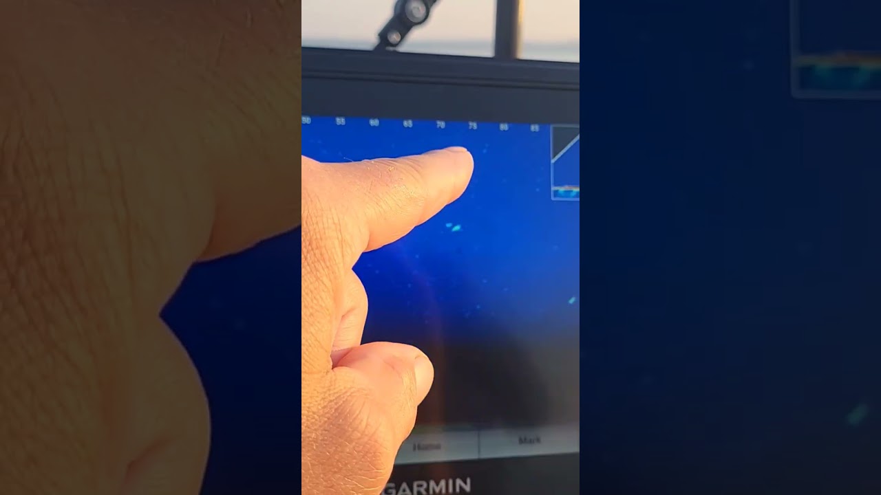 Garmin Livescope dialed in for trolling salmon.