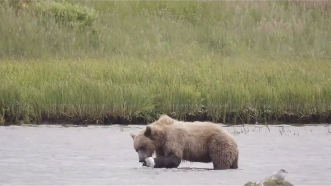 OUTSIDE BEYOND THE LENS - Alaska off the Grid