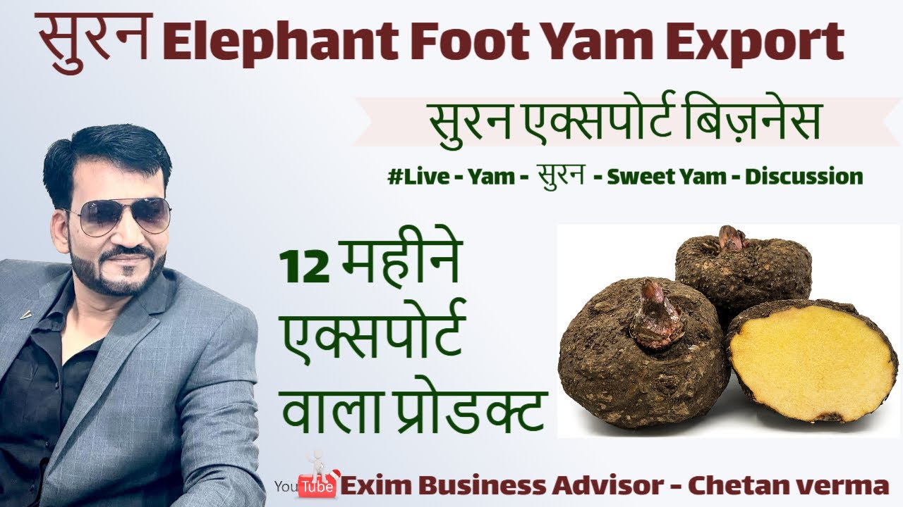 Suran Elephant Foot Yam How To Export From India | Benefits Of Elephant Yam Export | Export Product