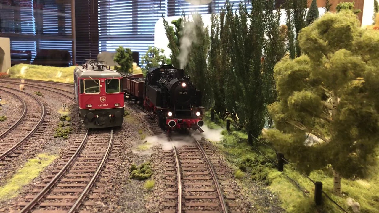 BR81 001 Spur 1