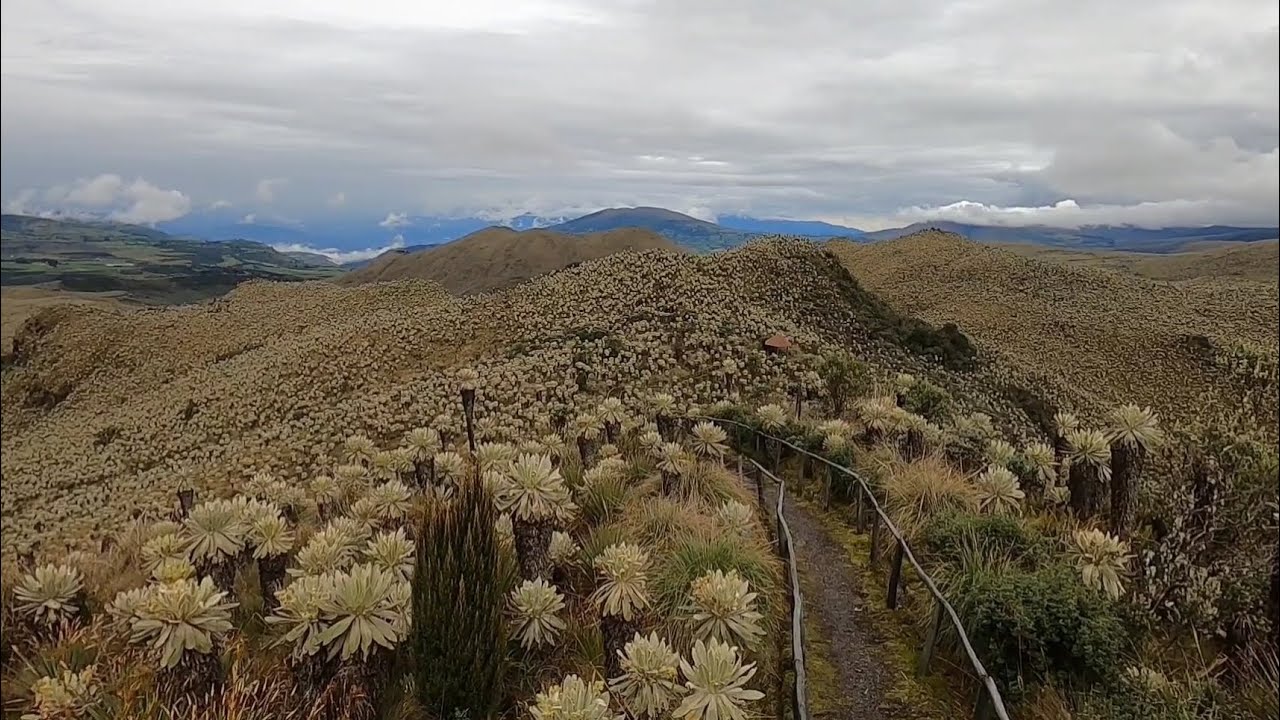 Starting the Trans-Ecuadorian Mountain Bike Route
